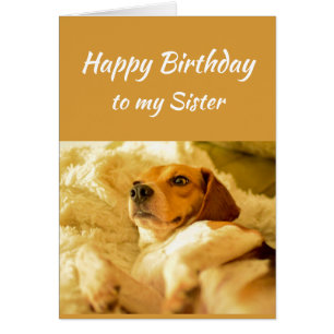 Happy Birthday Zuster Real Age Humor Fun Dog