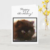 Happy Birthday Zwarte Perzische Kitten wenskaart Kaart (Gele Bloem)