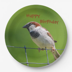 Happy Birthdy Bird Bord