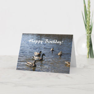 Happy Bithday, wilde eenden in de vijver Kaart