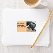 Happy Black Cocker Spaniel Etiket (Insitu)