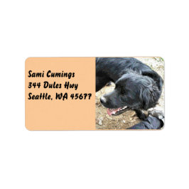 Happy Black Cocker Spaniel Etiket