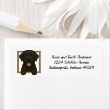 Happy Black Labrador Retriever Retriever Retouradr