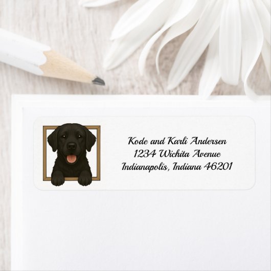 Happy Black Labrador Retriever Retriever Retouradr Etiket (Insitu)