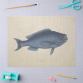  Happy Blue Fish Ephemera Decoupage Tissuepapier (Craft)