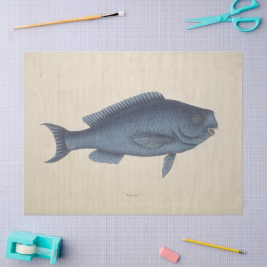  Happy Blue Fish Ephemera Decoupage Tissuepapier (Craft)