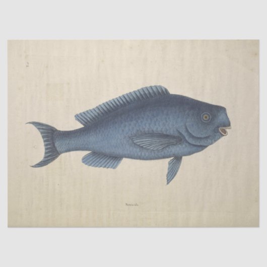  Happy Blue Fish Ephemera Decoupage Tissuepapier (Voorkant)