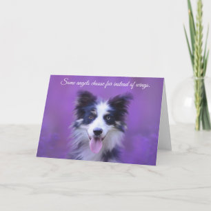 Happy Border Collie Dog, Angel met Fur Kaart