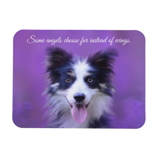 Happy Border Collie Dog, Angel met Fur Magnet Magneet (Horizontaal)