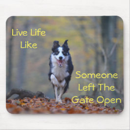 Happy Border Collie dog die loopt en speelt Muismat