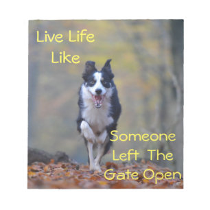 Happy Border Collie dog die loopt en speelt Notitieblok