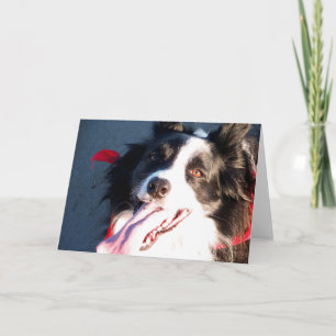 Happy Border Collie Feestdagen Kaart