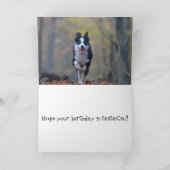 Happy Border Collie hond verjaardagskaart Kaart (Binnen)