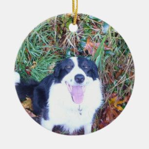 Happy Border Collie Keramisch Ornament