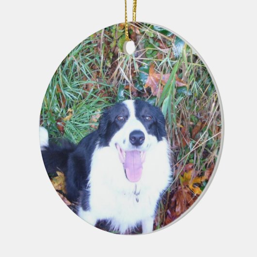 Happy Border Collie Keramisch Ornament (Links)
