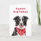 Happy Border Collie Red Heart Bandana Verjaardag Kaart (Voorkant)