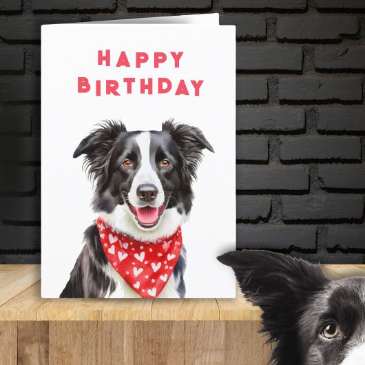 Happy Border Collie Red Heart Bandana Verjaardag Kaart