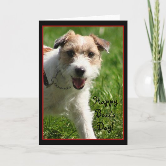 Happy Boss Day Jack Russell Terrier Card Kaart (Voorkant)