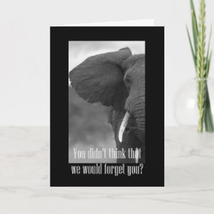 Happy Boss's Day met olifant zwart-wit foto Kaart