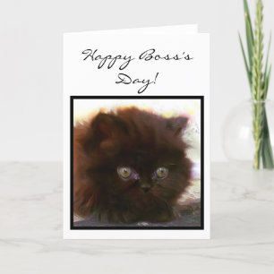 Happy Boss's Day Persian Kitten wenskaart Kaart