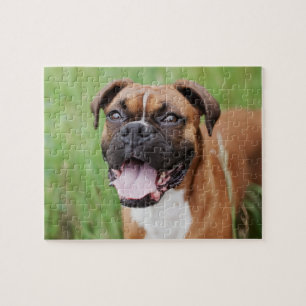 Happy Boxer 8x10 Legpuzzel