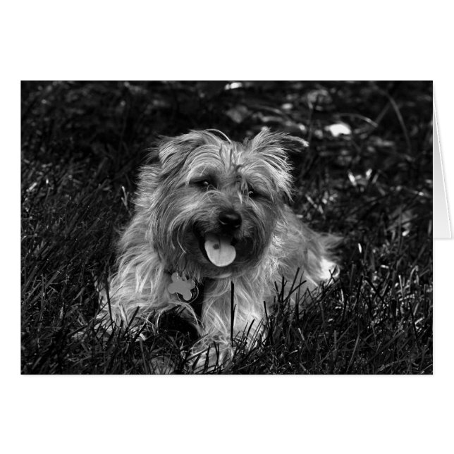 Happy Boy Card (Voorkant Horizontaal)