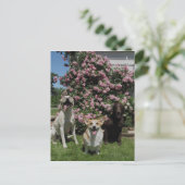 Happy Boys Briefkaart (Staand voorkant)