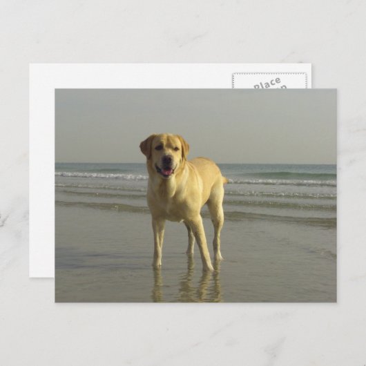 Happy Briefkaart (Voorkant / Achterkant)