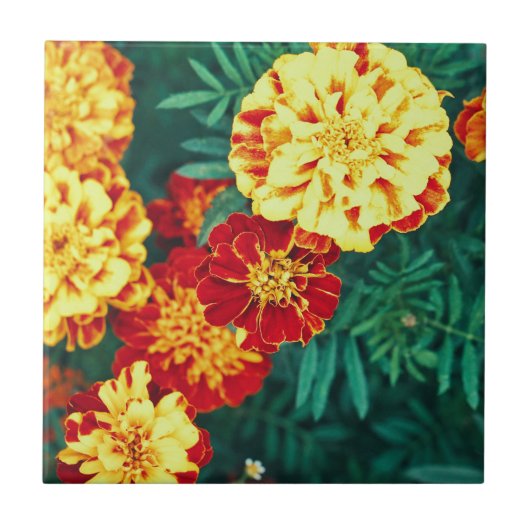 Happy Bright Marigold Flowers Floral Tegeltje (Voorkant)