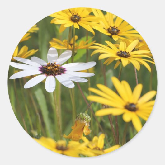 Happy Bright Yellow Flowers Wedding for Sticker (Voorkant)