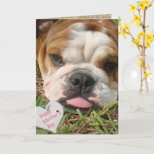 Happy Bulldog moederdag Kaart (Gele Bloem)