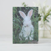 Happy Bunny Bedankkaart (Staand voorkant)