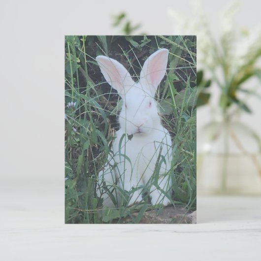 Happy Bunny Bedankkaart (Staand voorkant)