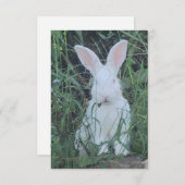 Happy Bunny Bedankkaart (Voorkant / Achterkant)