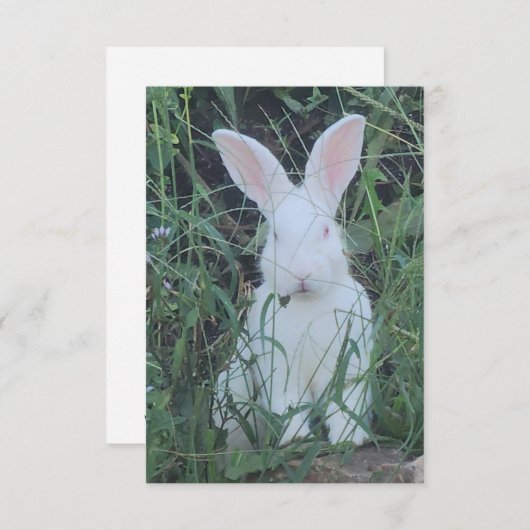 Happy Bunny Bedankkaart (Voorkant / Achterkant)