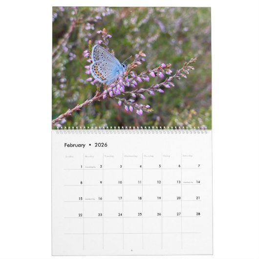 Happy Butterflies Kalender (Feb 2026)