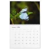 Happy Butterflies Kalender (Jan 2026)