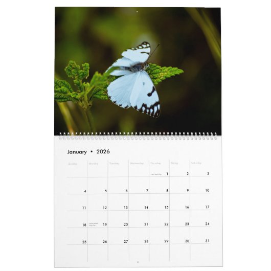 Happy Butterflies Kalender (Jan 2026)