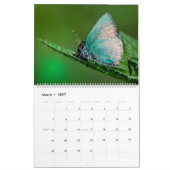 Happy Butterflies Kalender (Mar 2027)