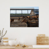 Happy California Koeien Poster (Keuken)