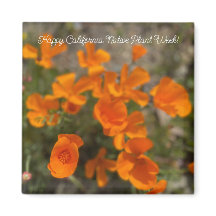 Happy California Native Plant Week!