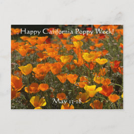 Happy California Poppy Week! Briefkaart