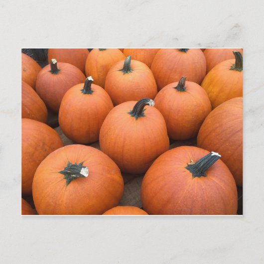 Happy Carving Briefkaart (Voorkant)