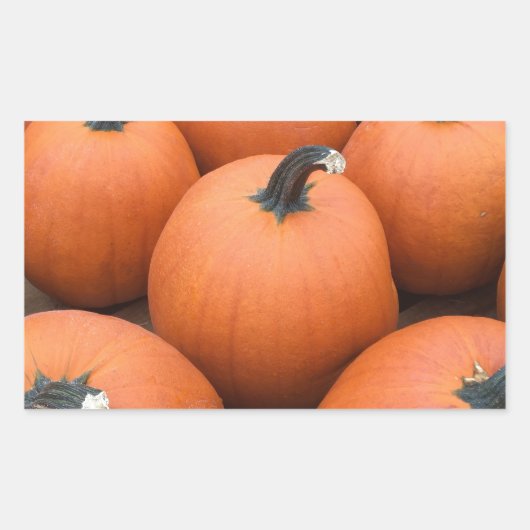 Happy Carving Rechthoekige Sticker (Voorkant)