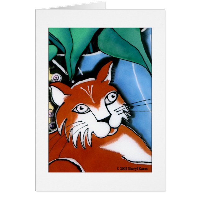 Happy Cat (Voorkant)