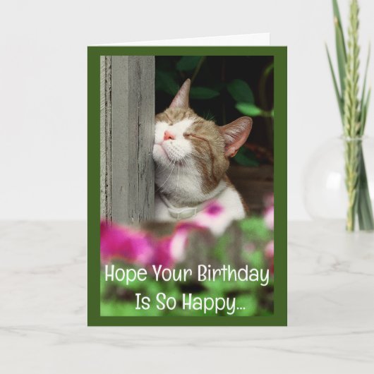 Happy Cat Birthday Kaart (Voorkant)