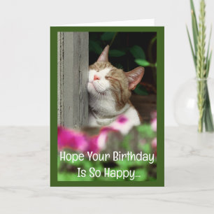 Happy Cat Birthday Kaart