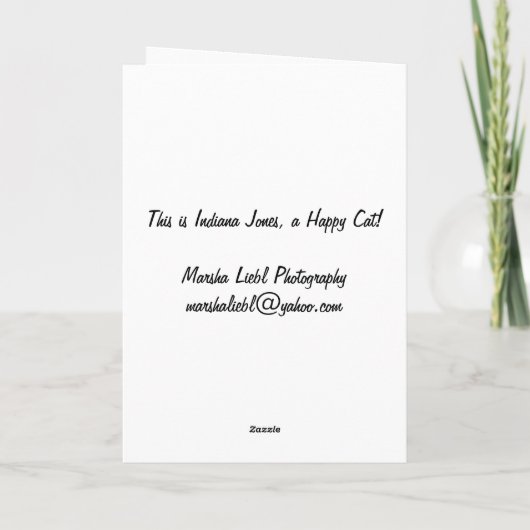 Happy Cat Birthday Kaart (Achterkant)