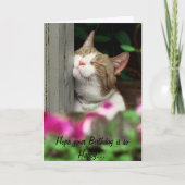 Happy Cat Birthday Kaart (Voorkant)