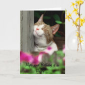 Happy Cat Birthday Kaart (Gele Bloem)